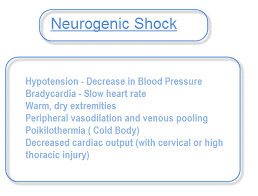 CEN Neurogenic Shock